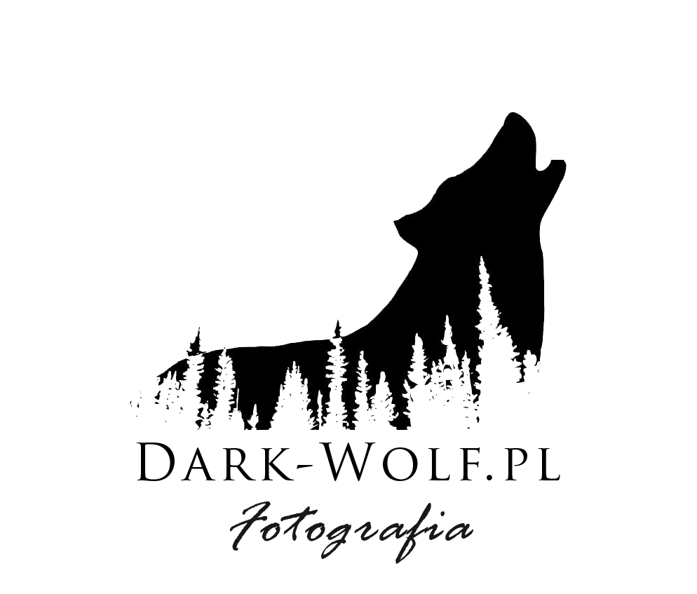 dark-wolf.pl
