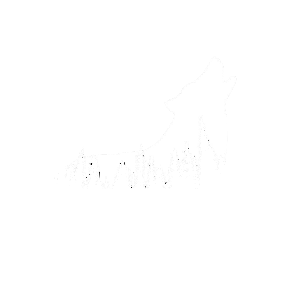 dark-wolf.pl